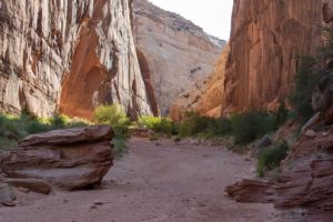 a trail through a canyon in Capitol Reef National Park